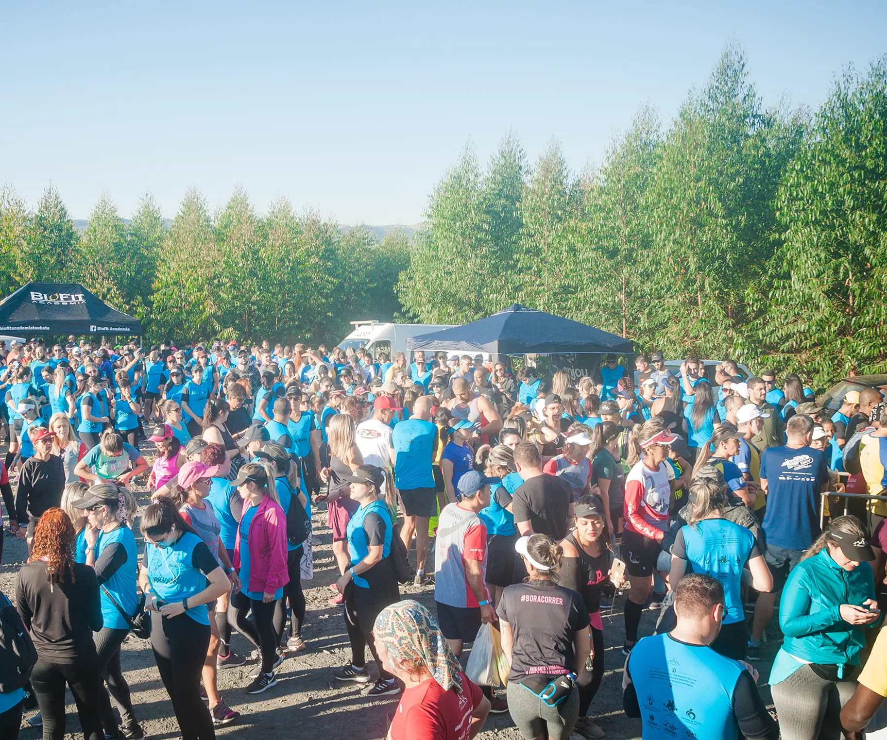 Etapa Etapa Labrador