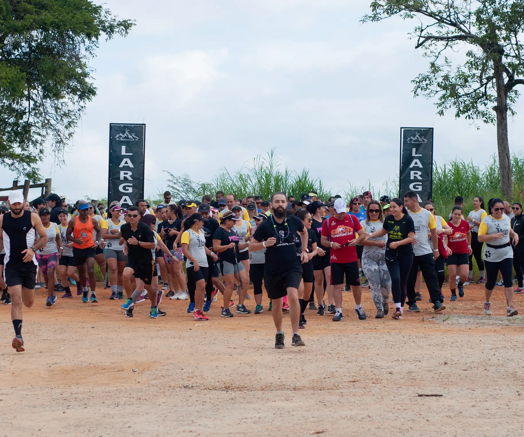 Etapa Etapa Pastor Alemão