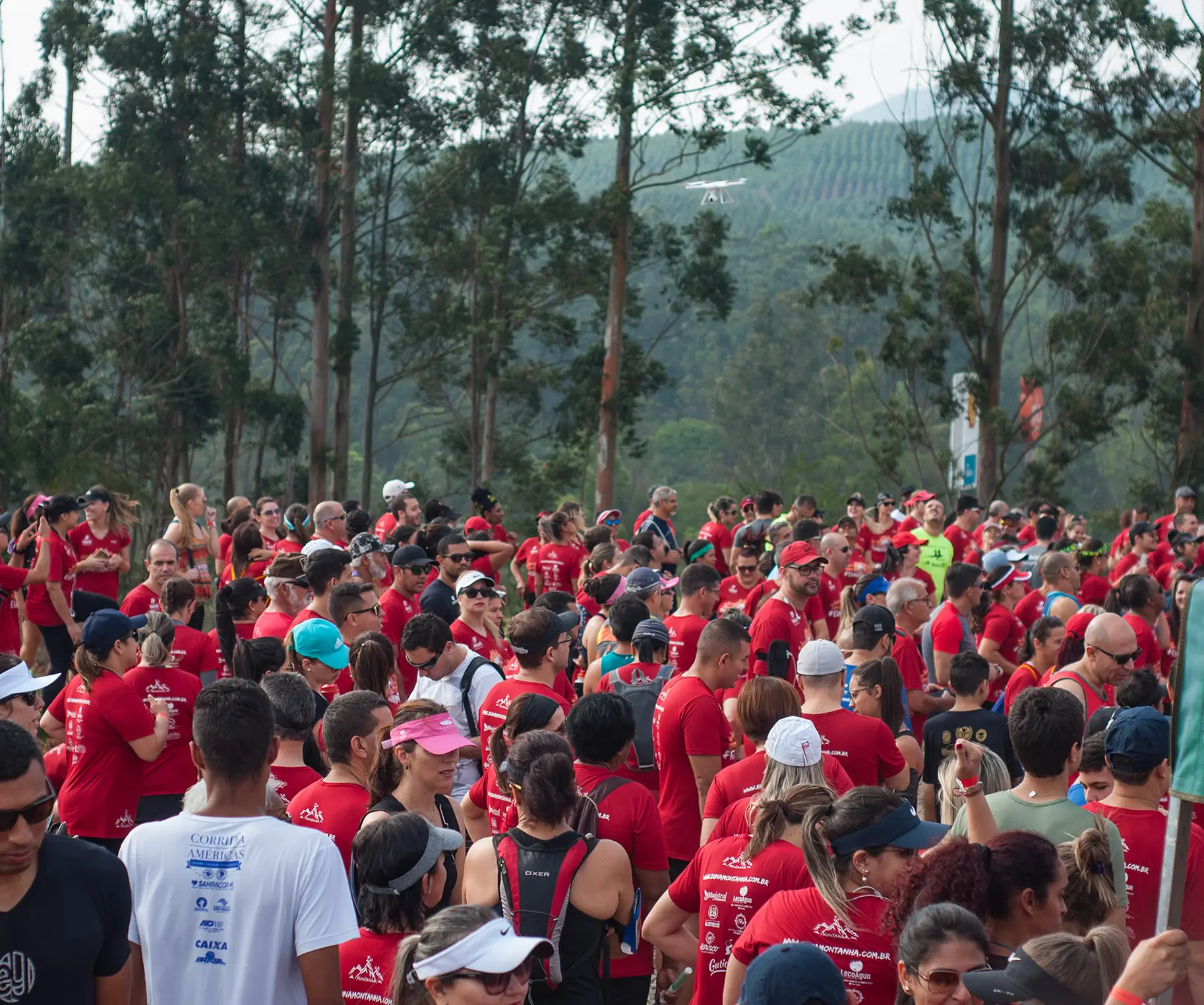 Etapa Etapa Tricerátops