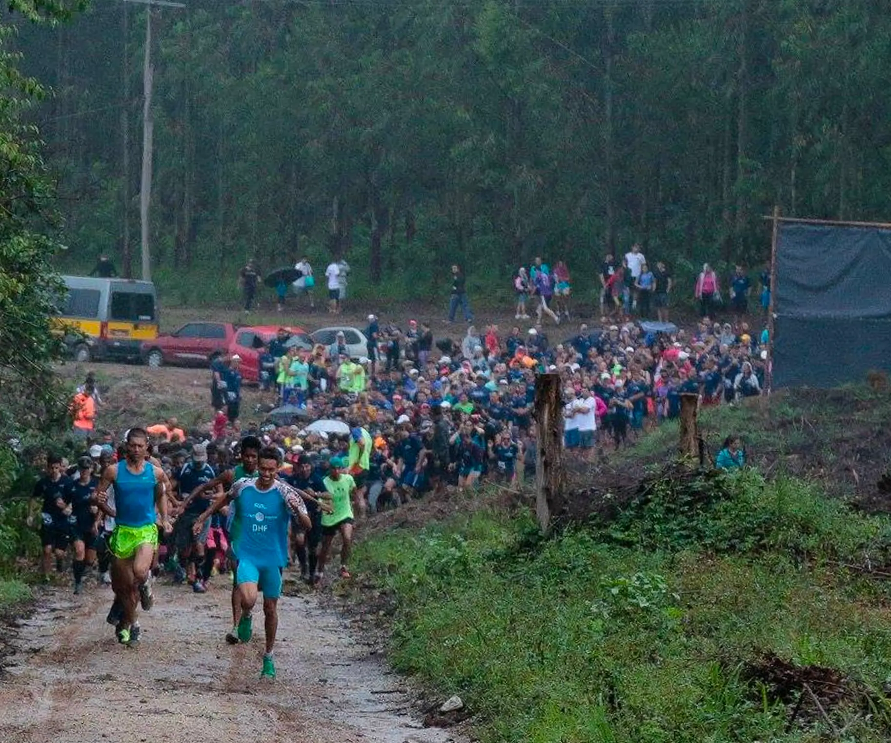 Etapa Etapa Tubarão